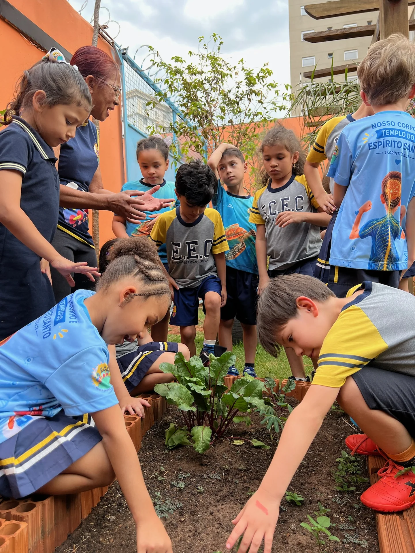 Alunos cuidando da horta da escola